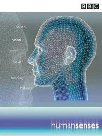 BBC: Чувства Человека. Зрение и осязание (2003) BBC: Чувства Человека. Зрение и осязание (2003)