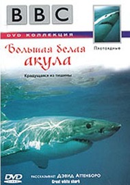 BBC: Плотоядные. Большая белая акула / BBC: Great White Shark BBC: Плотоядные. Большая белая акула / BBC: Great White Shark