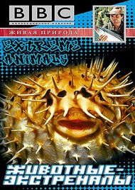 BBC: Животные экстремалы / BBC: Extreme Animals BBC: Животные экстремалы / BBC: Extreme Animals