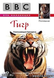 BBC: Жизнь животных Плотоядные: Тигр / The Wildlife Specials: Tiger BBC: Жизнь животных Плотоядные: Тигр / The Wildlife Specials: Tiger