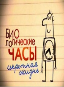 Биологические часы. Секретная жизнь (2009) Биологические часы. Секретная жизнь (2009)