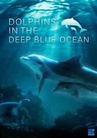 Дельфины в океанской синеве / Dolphins In the deep blue ocean Дельфины в океанской синеве / Dolphins In the deep blue ocean