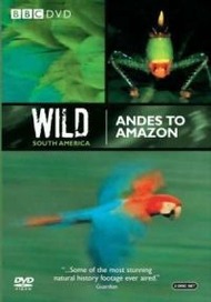 Дикая Южная Америка / Wild South America Дикая Южная Америка / Wild South America