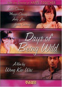 Дикие дни / A Fei jingjyuhn (1991) Дикие дни / A Fei jingjyuhn (1991)