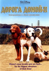 Дорога домой 2: Затерянные в Сан Франциско / Homeward Bound II: Lost in San Francisco Дорога домой 2: Затерянные в Сан Франциско / Homeward Bound II: Lost in San Francisco
