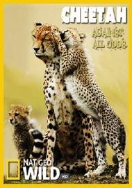 Гепарды Наперекор всему / National Geographic: Cheetah Against All Odds Гепарды Наперекор всему / National Geographic: Cheetah Against All Odds