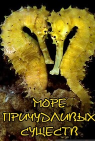 Море причудливых существ / Sea of Creepy Monsters Море причудливых существ / Sea of Creepy Monsters