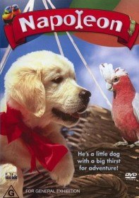 Наполеон / Napoleon (1995) Наполеон / Napoleon (1995)