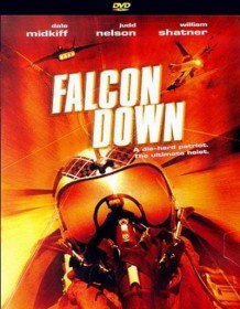 Призрачная цель / Falcon Down (2000) Призрачная цель / Falcon Down (2000)