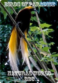 Птицы рая / Birds of Paradise Птицы рая / Birds of Paradise
