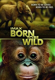 Рожденные на воле / Born to Be Wild Рожденные на воле / Born to Be Wild