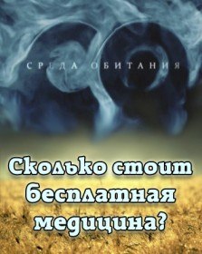 Среда обитания. Сколько стоит бесплатная медицина? (2010) Среда обитания. Сколько стоит бесплатная медицина? (2010)