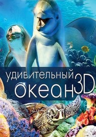 Удивительный океан / Amazing Ocean Удивительный океан / Amazing Ocean