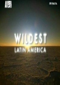 В дебрях Латинской Америки / WiLDEST Latin America (2012) В дебрях Латинской Америки / WiLDEST Latin America (2012)