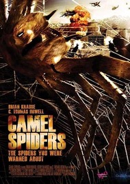 Верблюжьи пауки / Camel Spiders Верблюжьи пауки / Camel Spiders