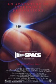 Внутреннее пространство / Innerspace Внутреннее пространство / Innerspace