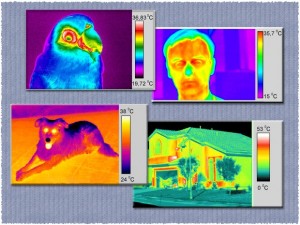 Тепловизоры Flir и их популярность